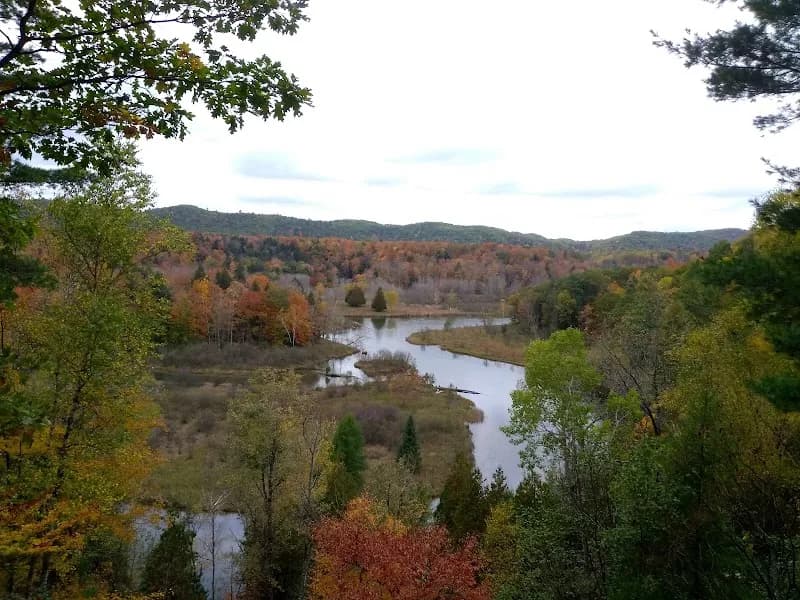 North Country Trail/Manistee River Trail hiking area in Brethren, MI