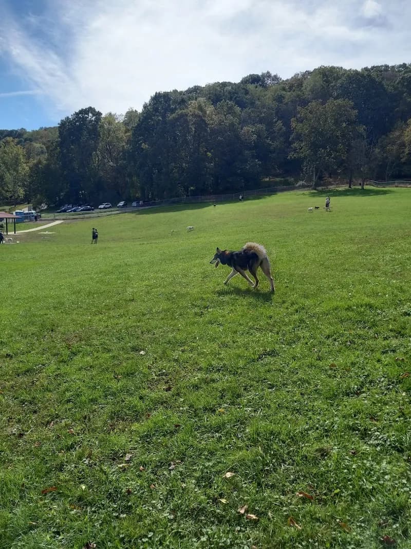 North Park Dog Park dog park in McCandless, PA