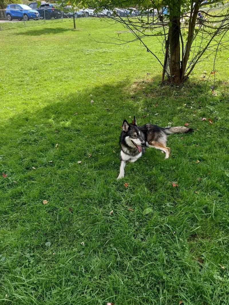 View of North Park Dog Park in McCandless, PA
