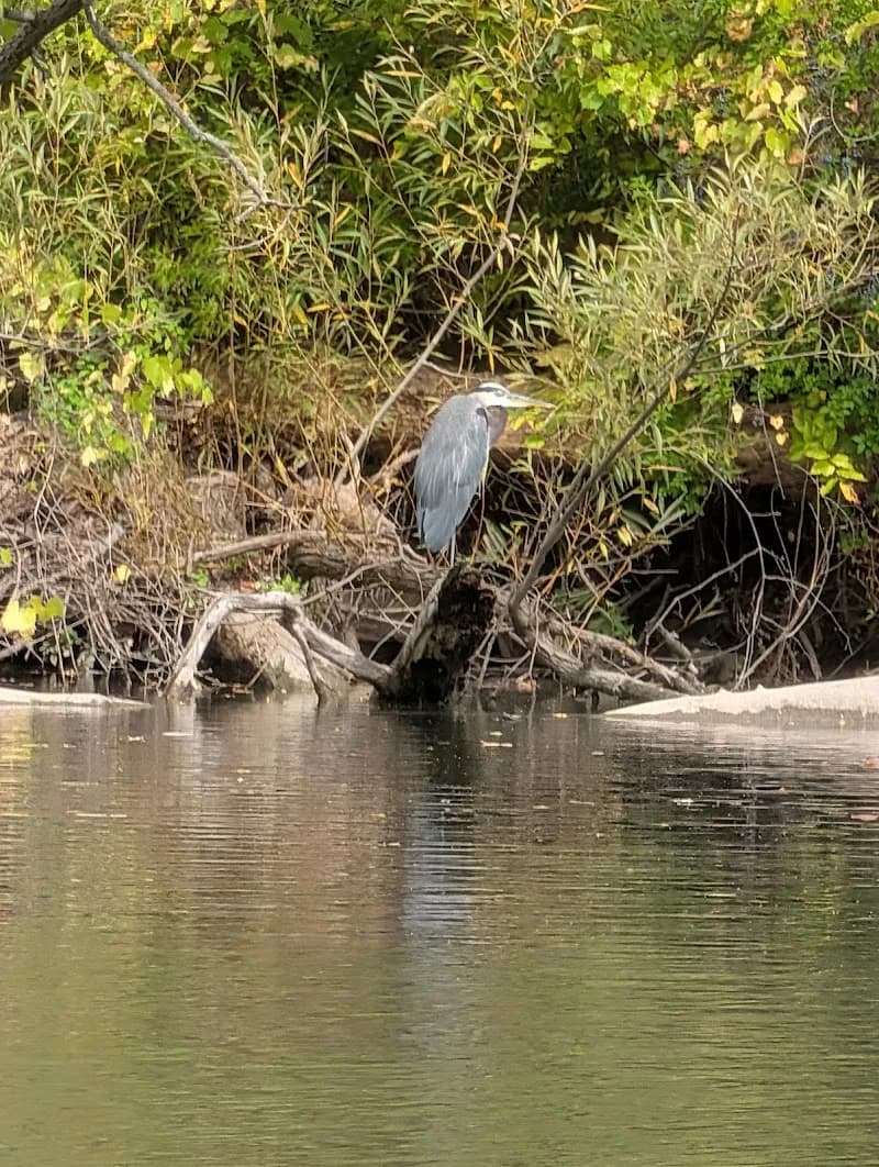 View of North Tonawanda Botanical Gardens in North Tonawanda, NY