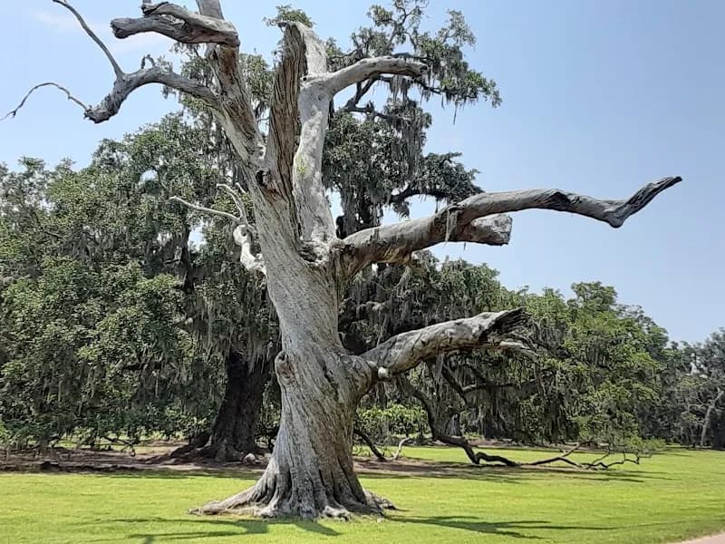 Northshore Lakefront park in Lakeshore, LA