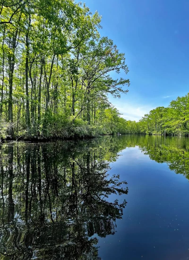 Northwest River Natural Area Preserve nature preserve in Chesapeake, VA