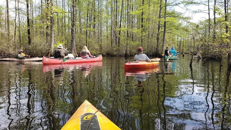 View of Northwest River Natural Area Preserve in Chesapeake, VA