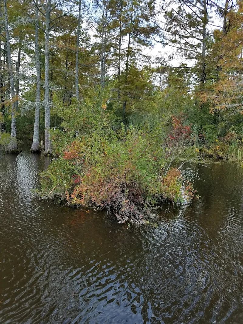 View of Northwest River Natural Area Preserve in Chesapeake, VA