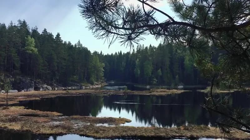 View of Nuuksio National Park in Helsinki, HEL