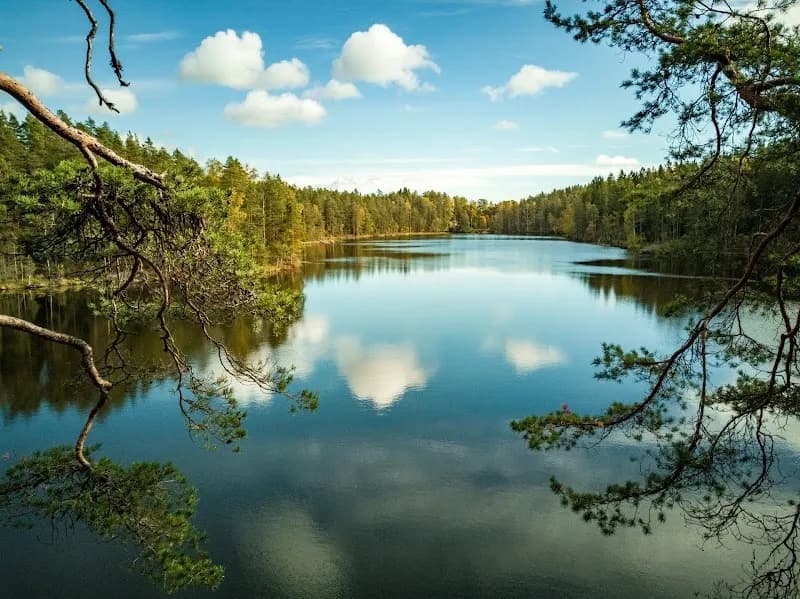 View of Nuuksio National Park in Helsinki, HEL