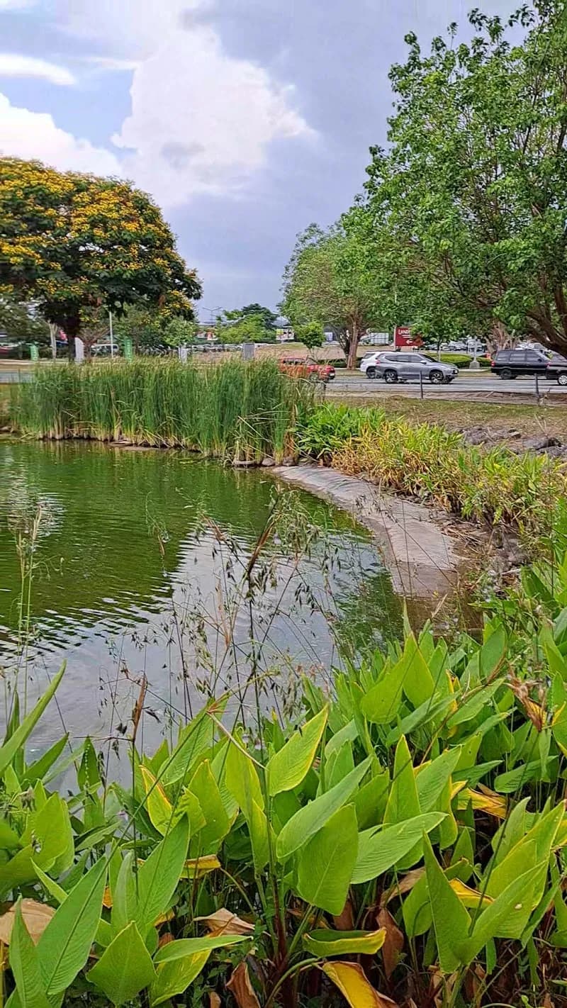 View of Nuvali in Dasmariñas, NCR