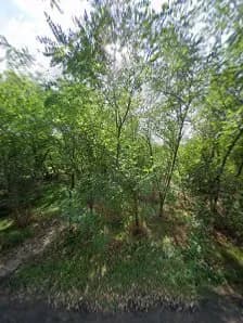 View of Nyakas Enduro Trails in Törökbálint, Budapest