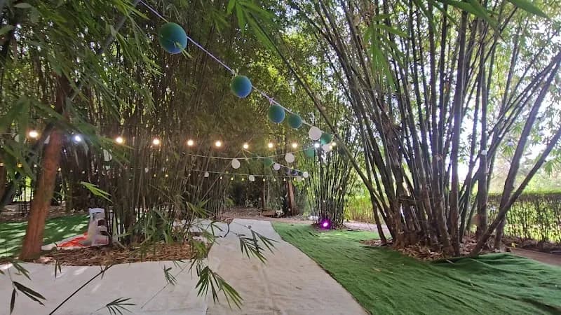 View of Nyandungu Eco-Park in Nyarugenge District, Kigali