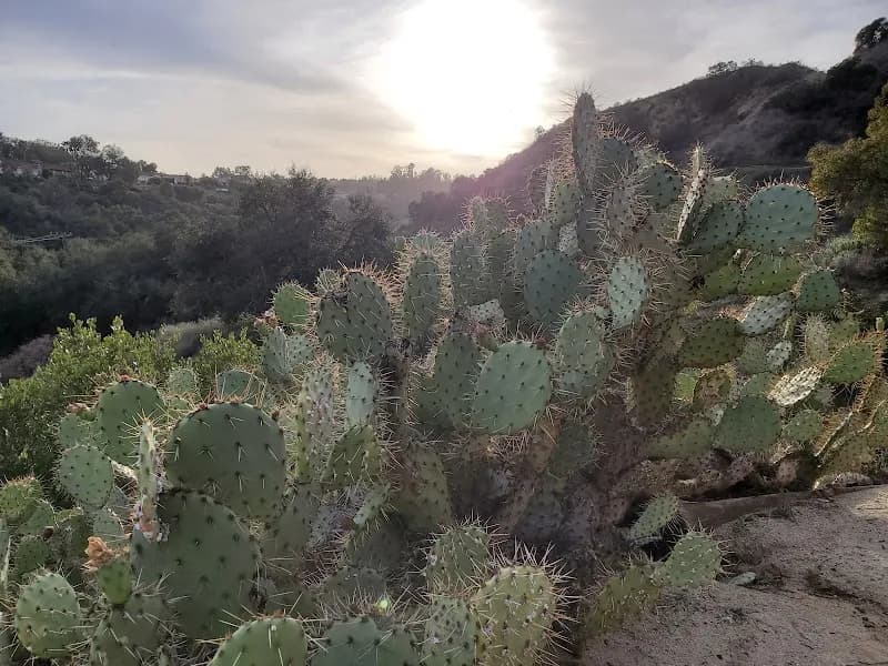 View of Oak Canyon Nature Center in Anaheim, CA