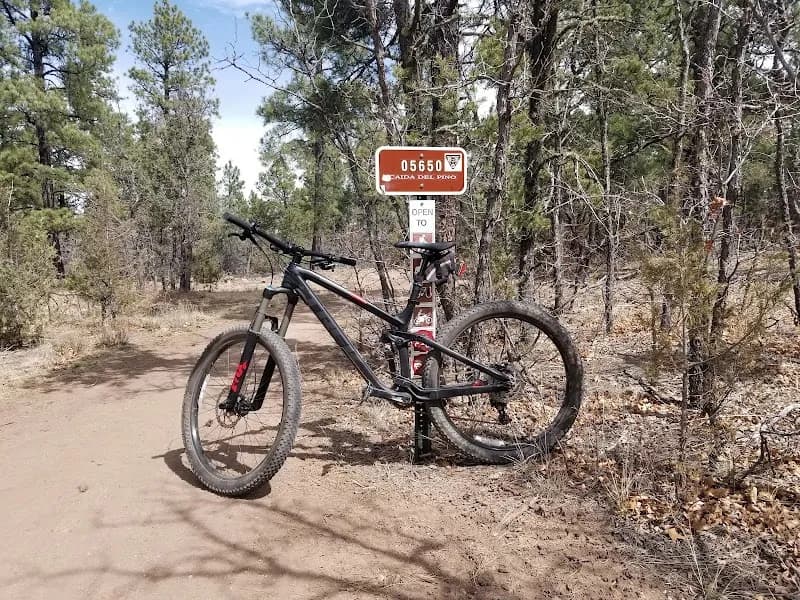 View of Oak Flats Group Picnic in Tijeras, NM