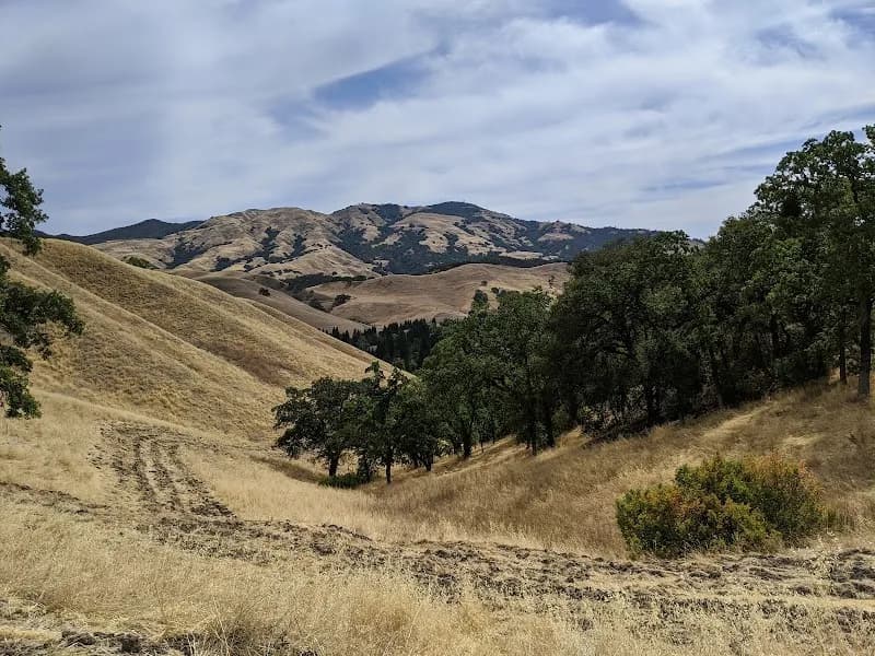 View of Oak Hill Park in Danville, CA
