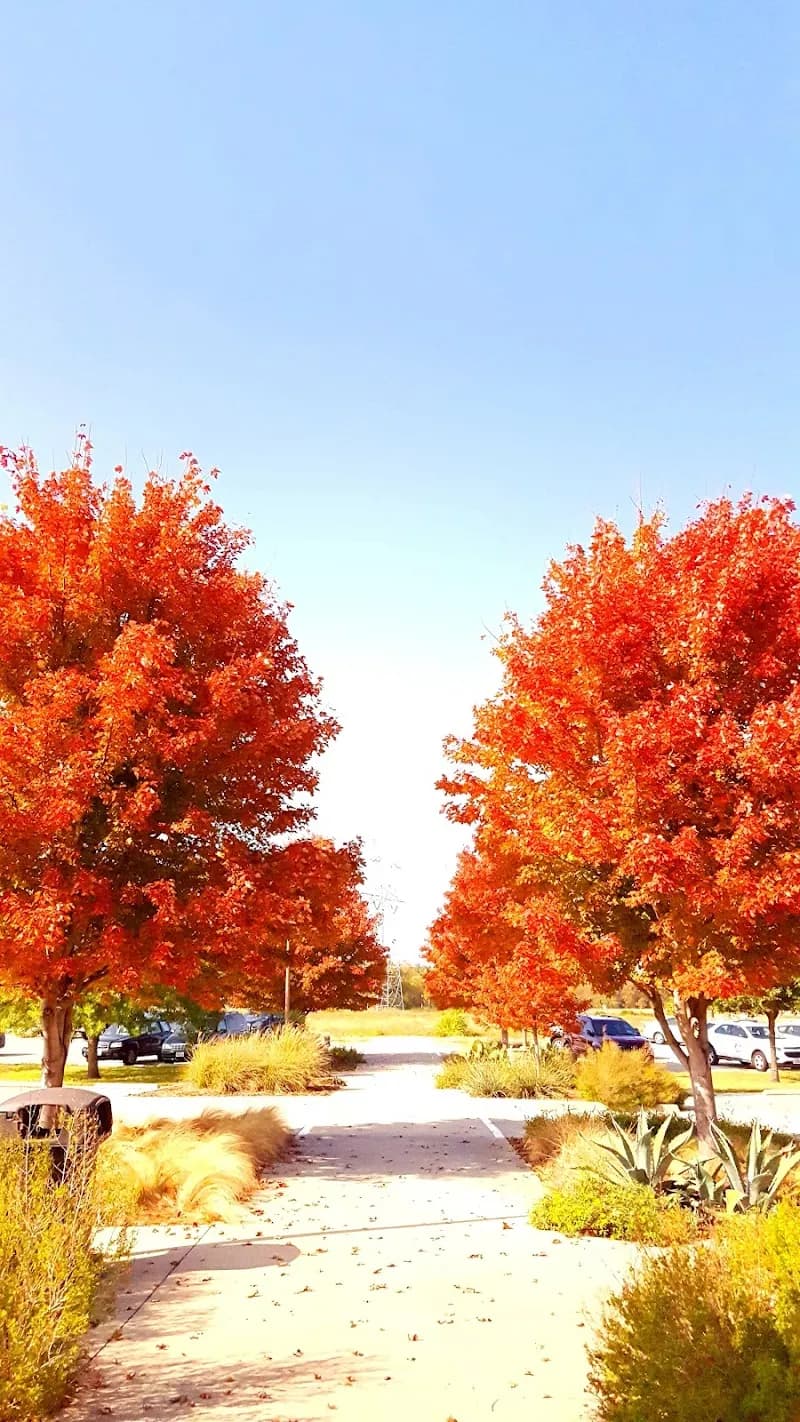 View of Oak Point Park & Nature Preserve in Plano, TX