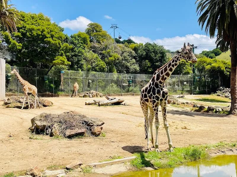 View of Oakland Zoo in Oakland, CA