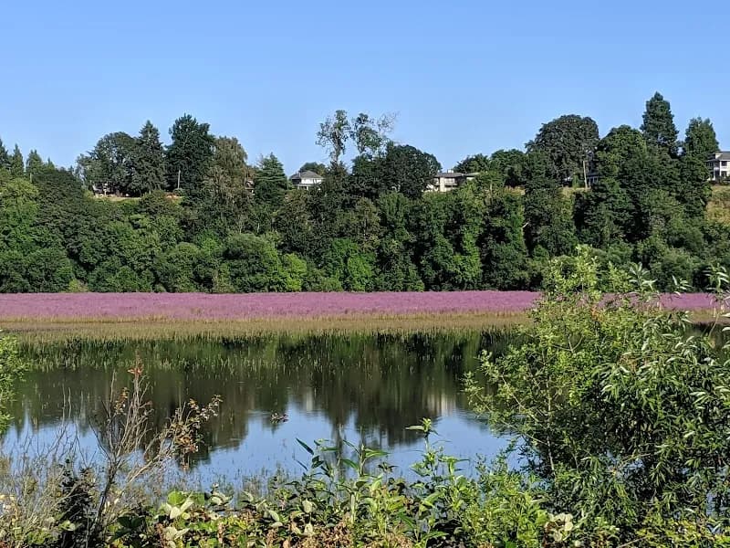 View of Oaks Bottom Wildlife Refuge in Woodstock, OR