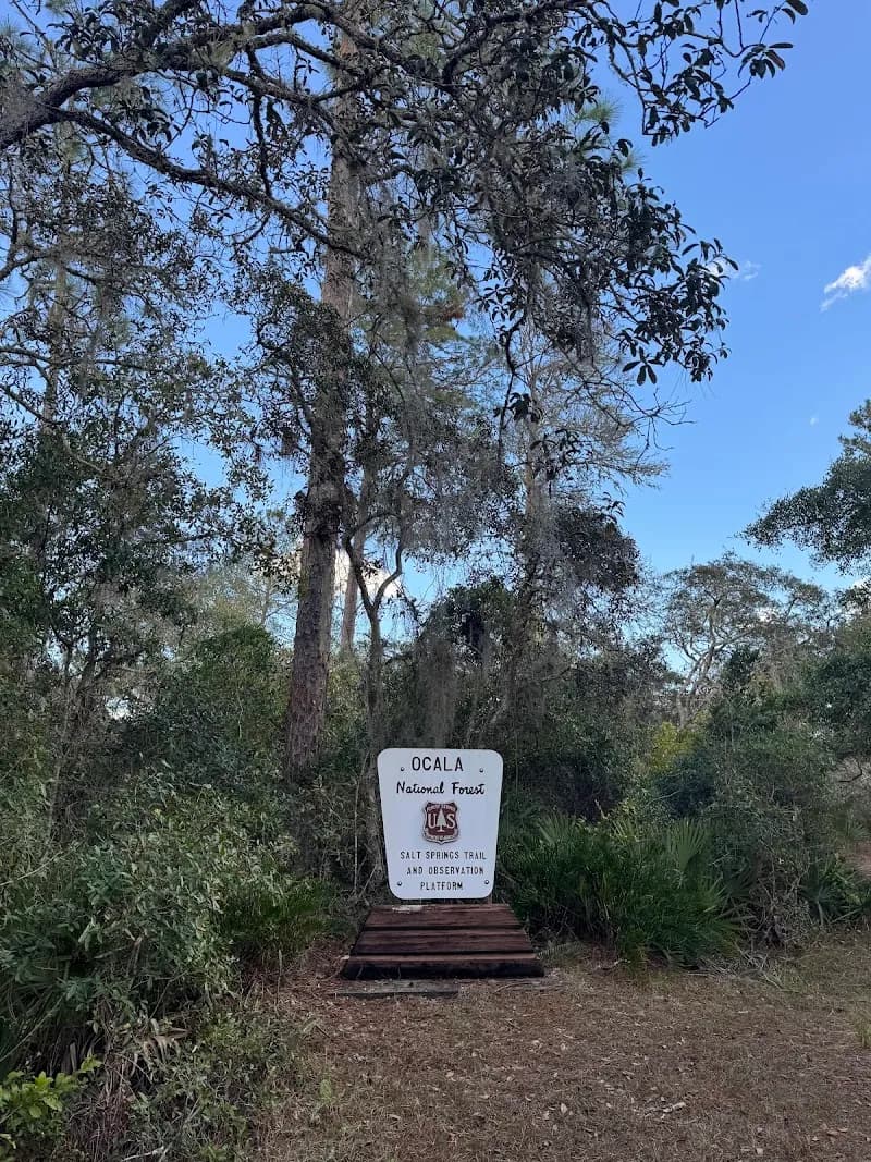 View of Ocala National Forest in Ocala, FL