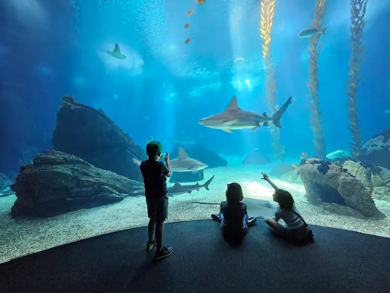 View of Oceanário de Lisboa in Lisbon, LSB