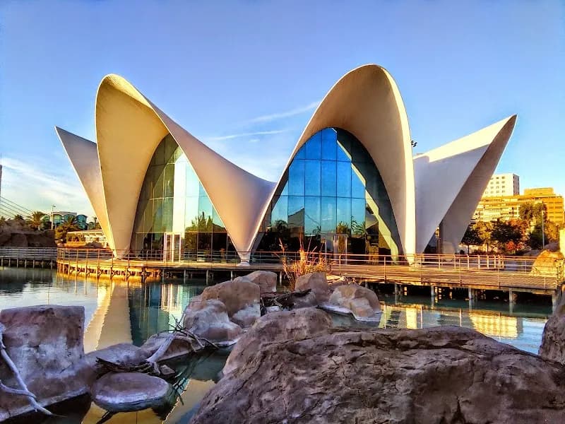 Oceanogràfic València aquarium in Valencia, VC