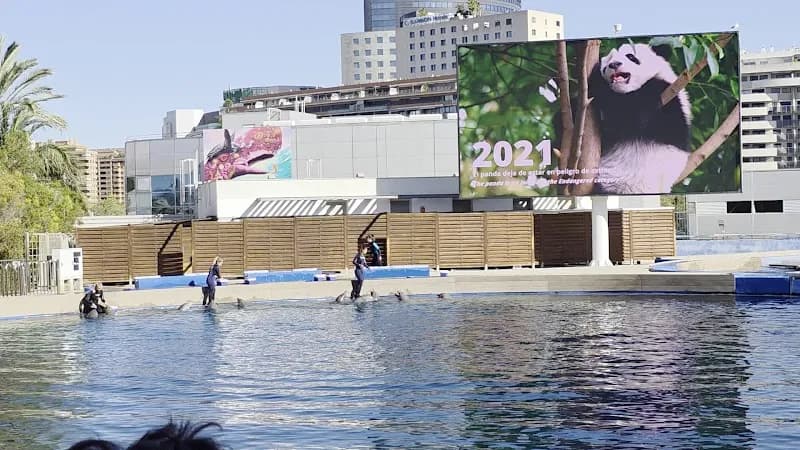 View of Oceanogràfic València in Valencia, VC