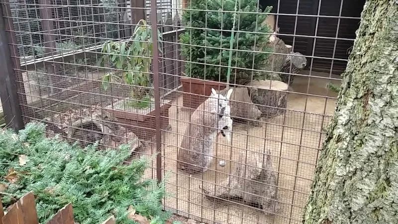 View of Ohrada Park Mini Zoo in Žižkov, CZ