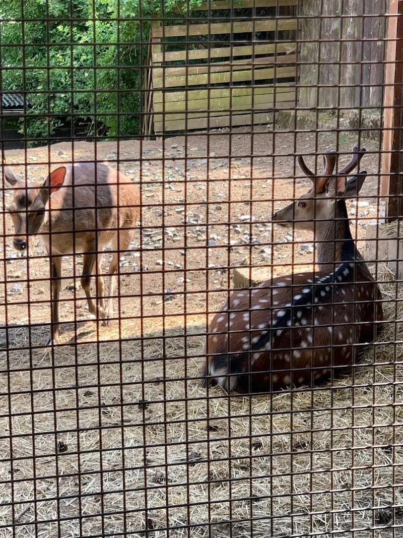 View of Ohrada Park Mini Zoo in Žižkov, CZ