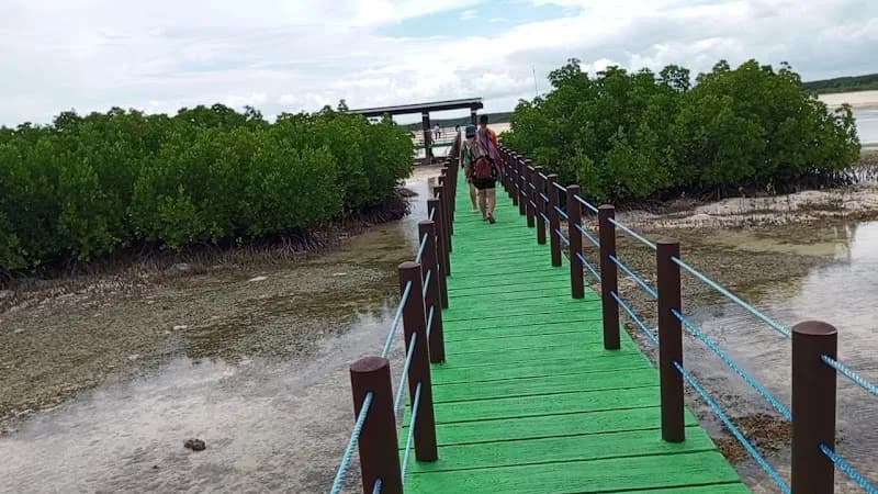 View of Olango Island Wildlife Sanctuary in Lapu-Lapu City, CV