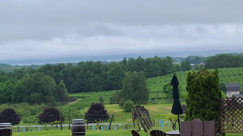 View of Old Mission Peninsula Wine Trail in Traverse City, MI