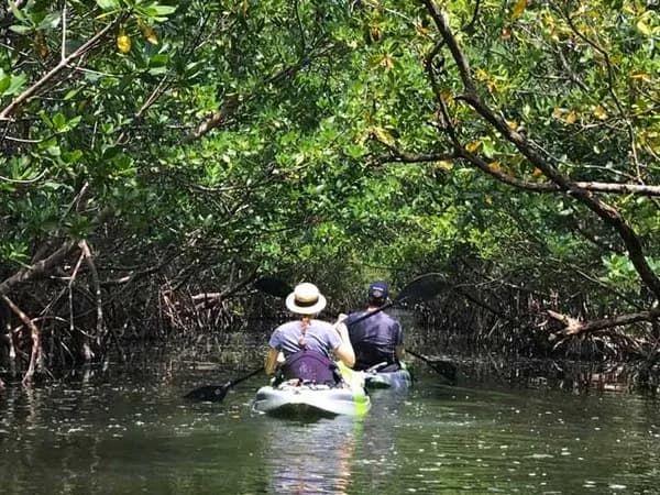 View of Oleta River State Park in North Miami Beach, FL