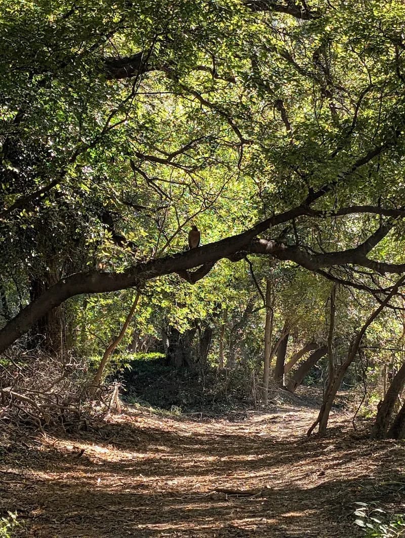 View of Olmos Basin Park in Alamo Heights, TX
