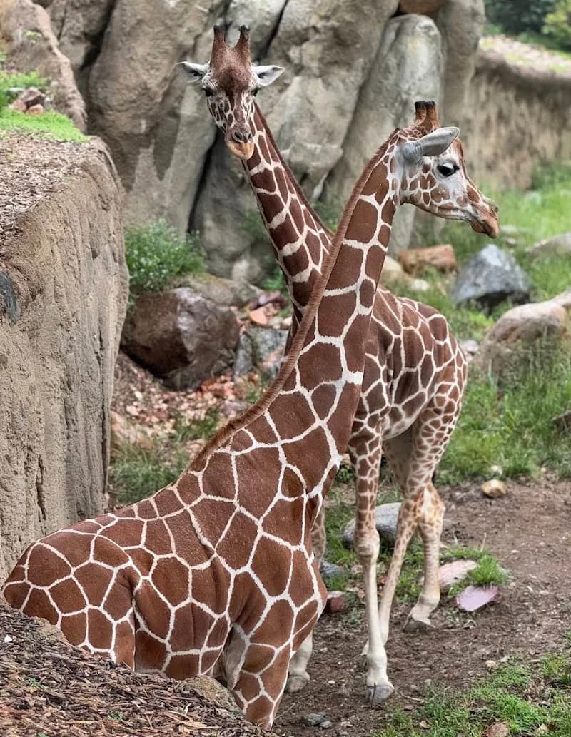 View of Omaha's Henry Doorly Zoo and Aquarium in Omaha, NE