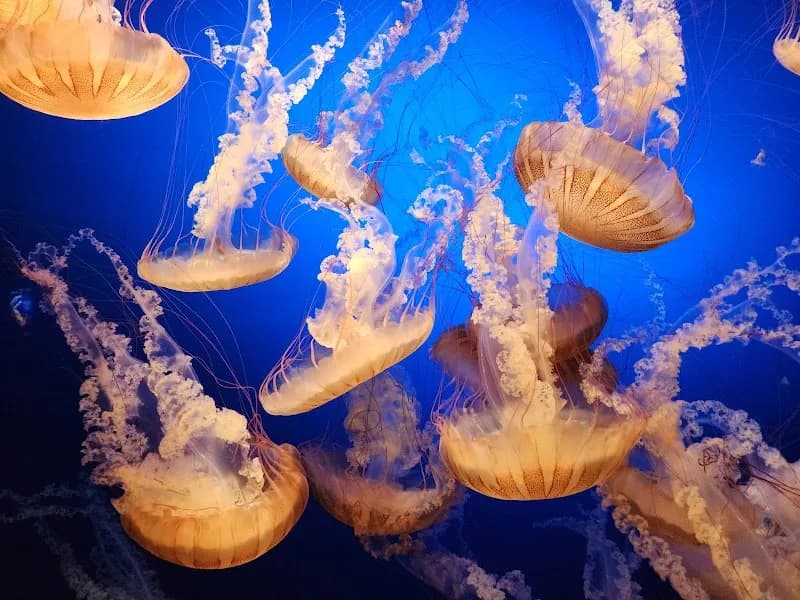 View of Omaha's Henry Doorly Zoo and Aquarium in Omaha, NE