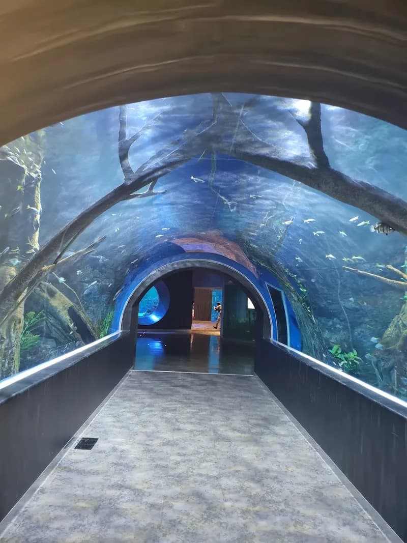 Oman Aquarium aquarium in Muscat, MUS