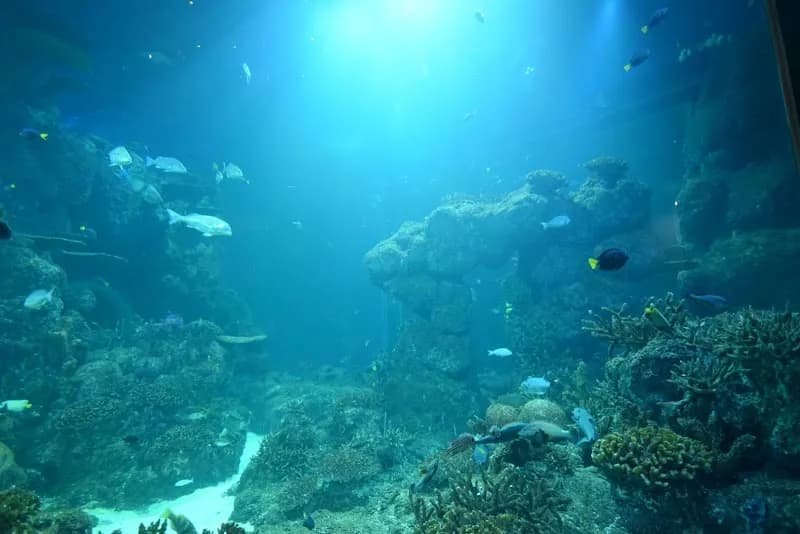 View of Oman Aquarium in Muscat, MUS