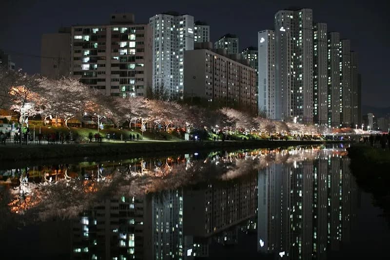 Oncheon-cheon tourist attraction in Dongnae-gu, Busan