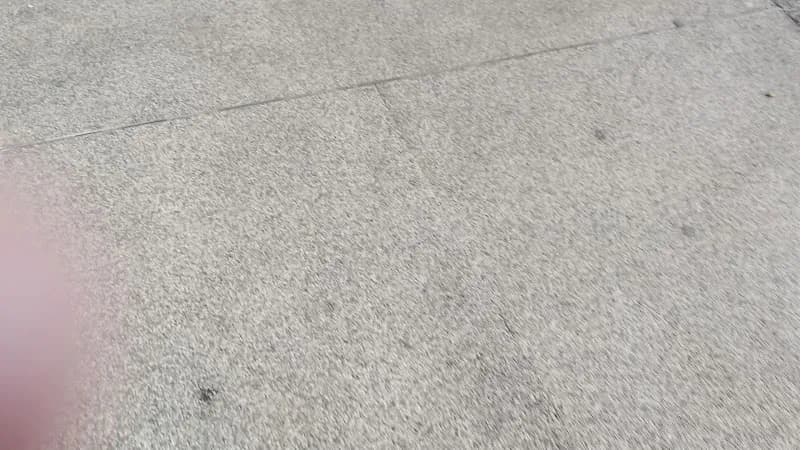 View of Onkel Toms Ladenstraße in Lichterfelde, BE