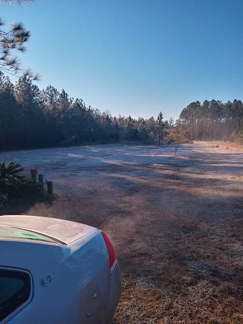 View of Ono Island, Alabama in Orange Beach, AL