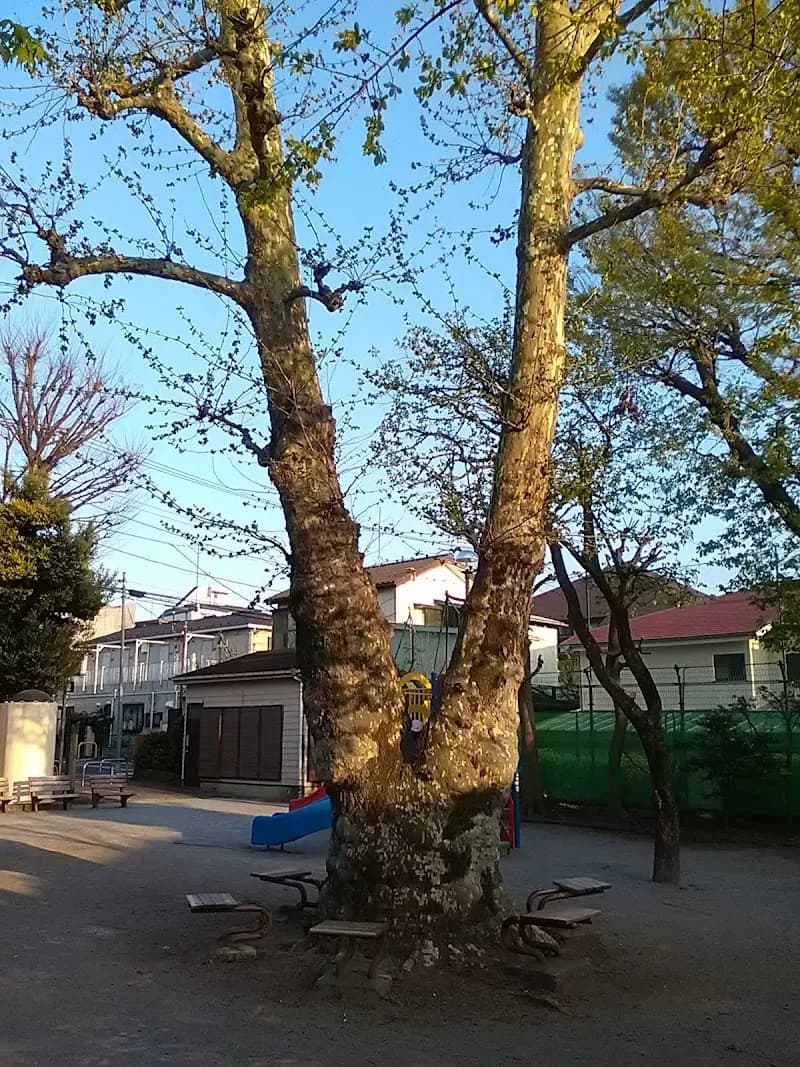 View of Ookayama Park in Meguro, Tokyo