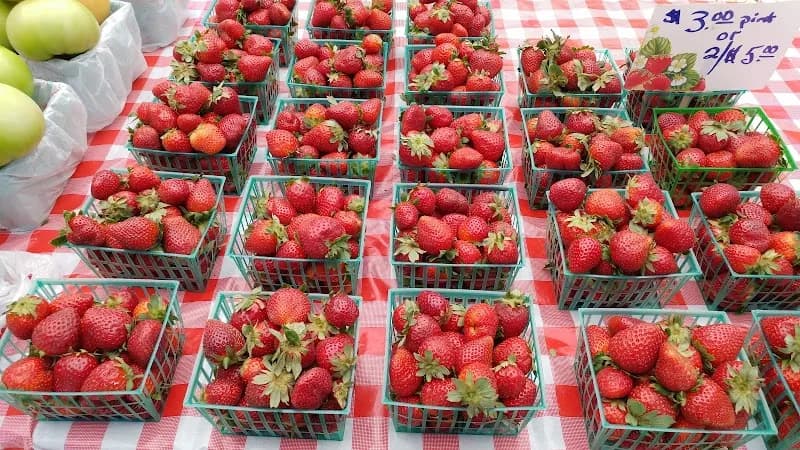 View of Orange Park Farmers' & Arts Market in Orange Park, FL