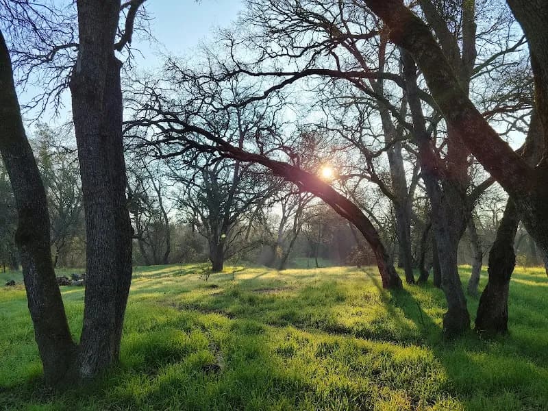 View of Orangevale Community Park in Orangevale, CA