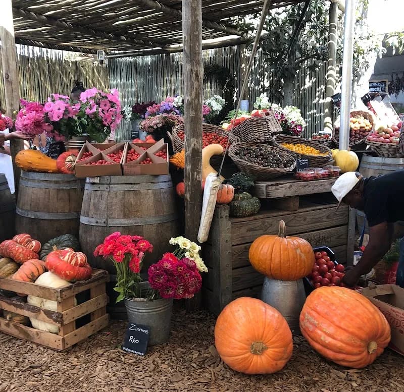 View of Oranjezicht City Farm Market in Observatory, WC