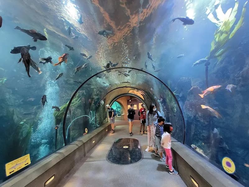 Oregon Coast Aquarium aquarium in Portland, OR