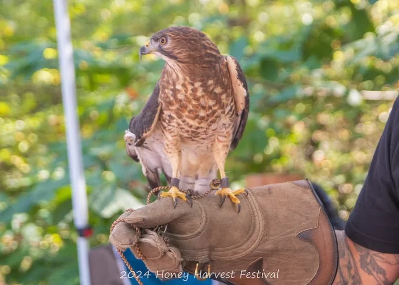 View of Oregon Ridge Nature Center in Cockeysville, MD