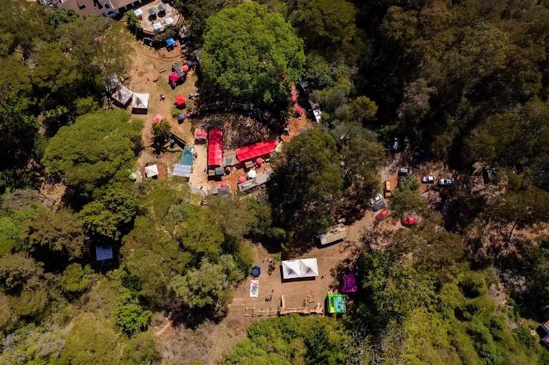 Organic Farmers Market market in Rongai, Nairobi
