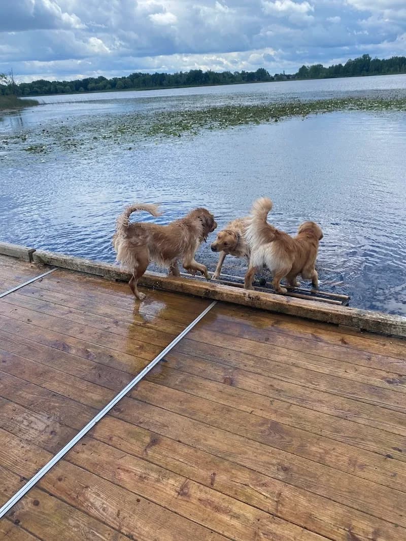 View of Orion Oaks Dog Park in Auburn Hills, MI