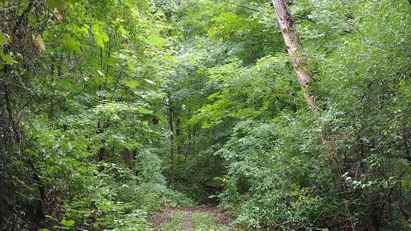 View of Ortonville Recreation Area in Auburn Hills, MI