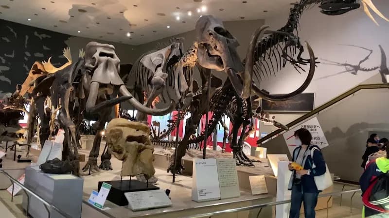 View of Osaka Museum of Natural History in Osaka, OS