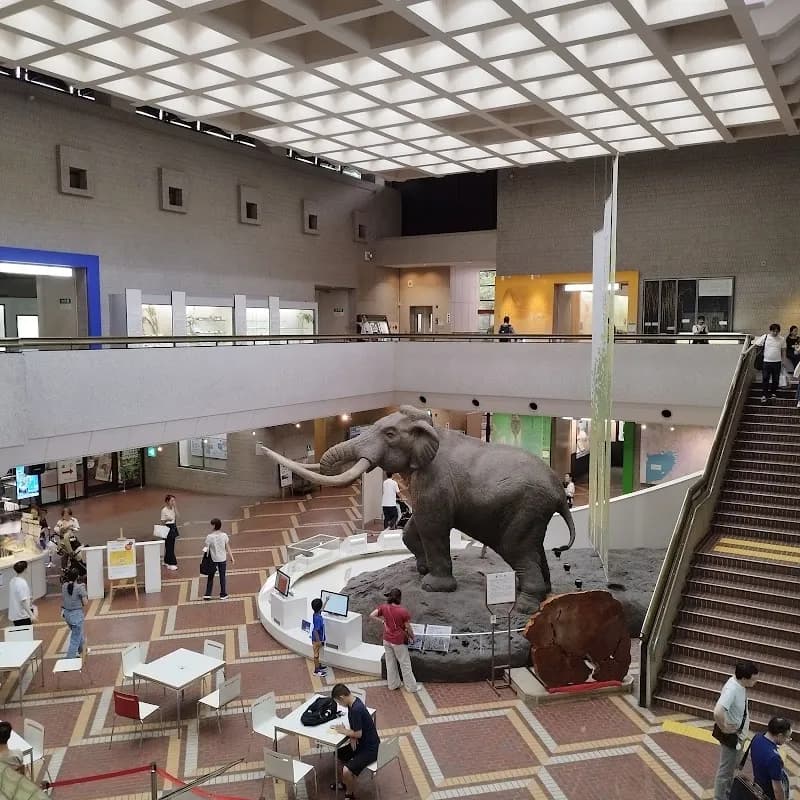 View of Osaka Museum of Natural History in Osaka, OS