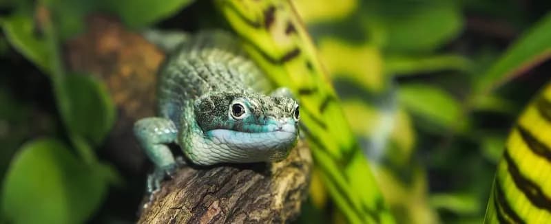 Oslo Reptile Park zoo in Oslo, OSL