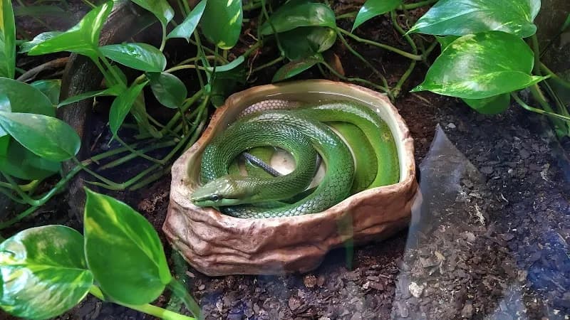 View of Oslo Reptile Park in Oslo, OSL