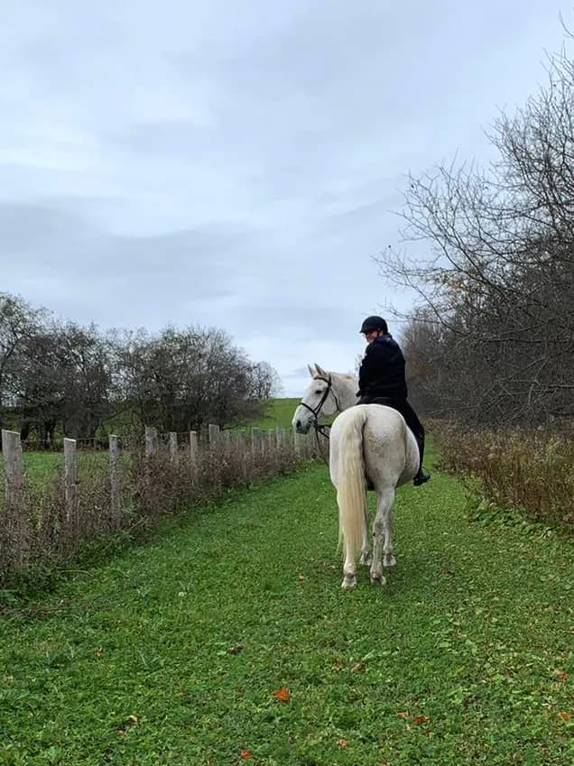 Ovation Hall Training Centre sports activity location in Newmarket, ON